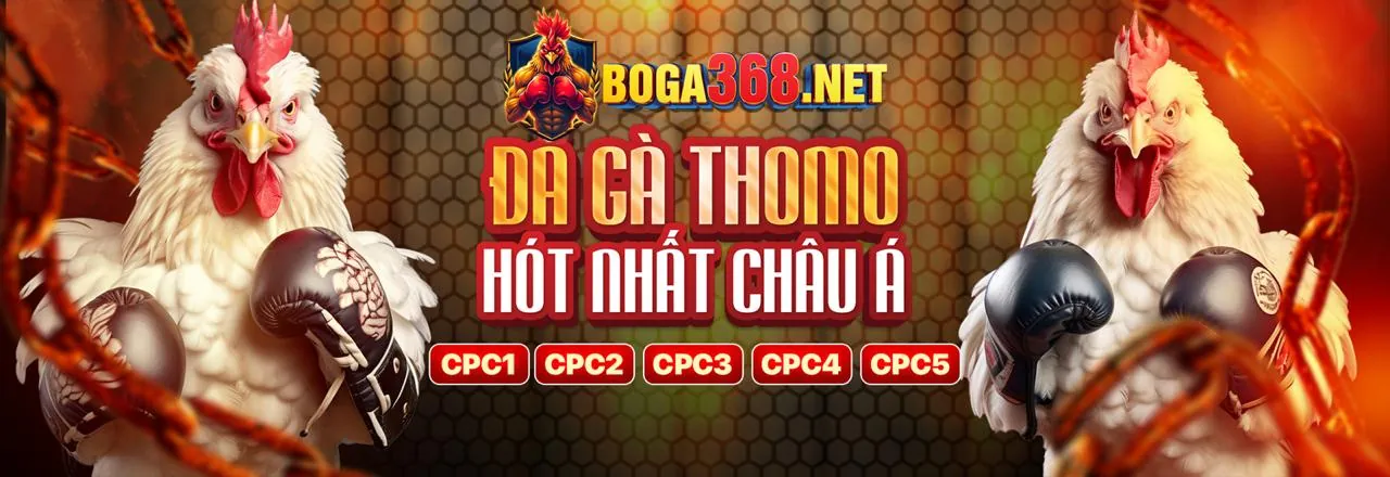 Quy trình hợp tác hi88 club